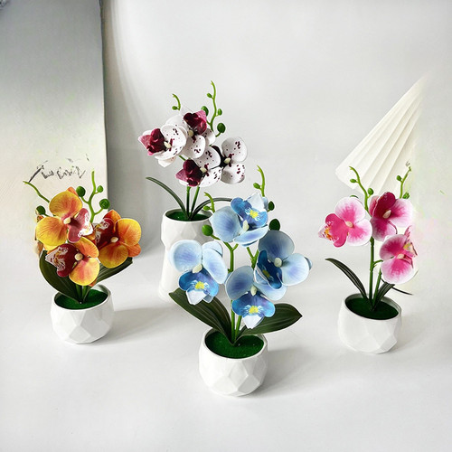 Orchidée papillon