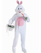 Costume Standard Pour Adulte Mascotte Lapin Blanc Et Rose