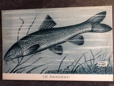 ILLUSTRATED CP SIGNED RAOUL GUINOT LE BARBEAU - FISH - 51473