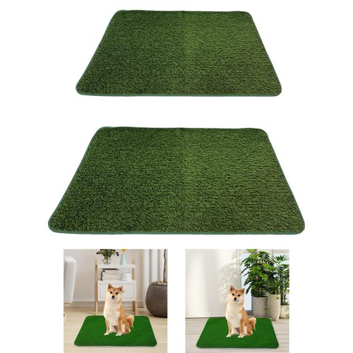 Tapis entraînement - tapis, d'entraînement