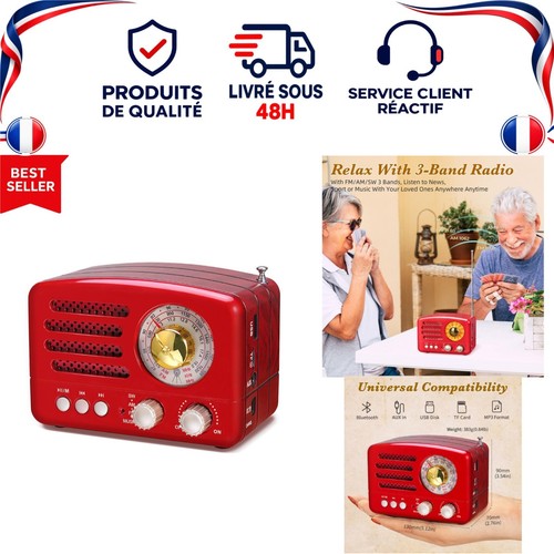 Prunus 160 radio - radio, portable