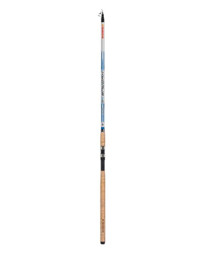 Canne pêche hydrus neo - À,