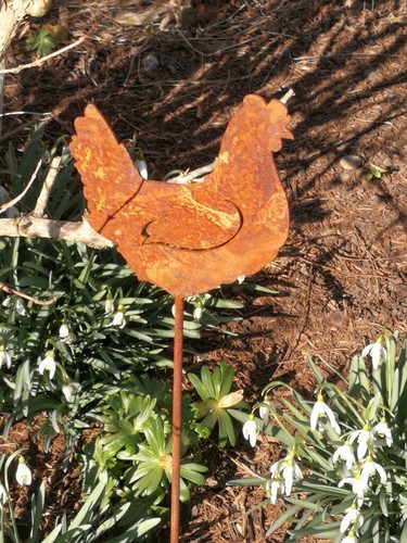 Poule rouille noble - en,