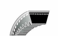 Courroie Dentée Motoculteur