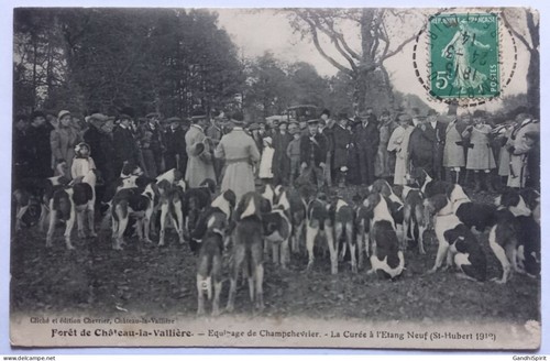 Forêt chateau vallière - de,
