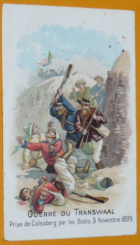 Chromo 1901 1914 chicoree - 1901-1914,