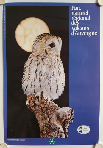 Affiche oiseaux chouette - affiche,