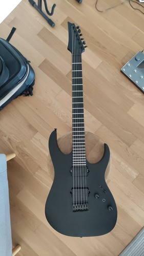Ibanez rgrtb621 iron label - rgrtb621,