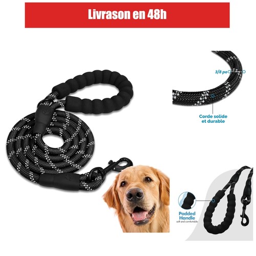 Edipets laisse chien - edipets,