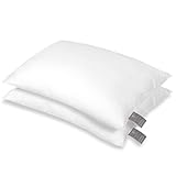FAM Home Oreiller 50x70 Lot de 2 Anti Acarien I Coussin