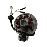 Bobine Stator allumage Stator Magnéto Ca À 7 Bobines