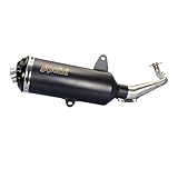 POLINI Pot maxiscooter Black pour sym 125 GTS i Evo