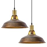 iDEGU Lot de 2 Suspension Luminaire Industrielle, 27CM