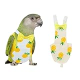 Oiseau de compagnie mignon couche-culotte perroquet