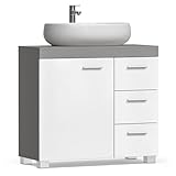 VASAGLE Meuble sous Lavabo, Meuble de Salle de Bain,