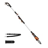 WORX Élagueuse Tronçonneuse sans Fil 20V WG349E.9,