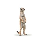 Papo - Figurines A Collectionner - Suricate Debout