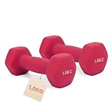 HCT STYLE Haltères Hexagonales en Vinyle 1 kg (Paire)