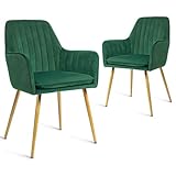 CangLong Furniture Lot de 2 fauteuils d'appoint modernes