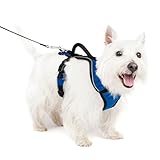 PetSafe - Harnais pour Chien EasySport avec Poignée