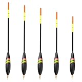 Kit Waggler pour pêcheur - 5 pièces avec des poids