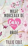 Mille morceaux de coeur brisé