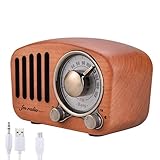 Qoosea Radio Portable Haut-parleurs Bluetooth Faits