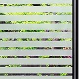 Qualsen Film de protection de l'intimité pour fenêtre