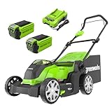 Greenworks G40LM41K2X Tondeuse à Gazon sans Fil pour