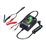 Chargeur Intelligent de Batterie Lithium SKYRICH 12V