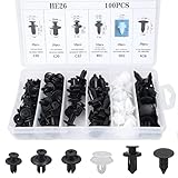 Lot de 100 clips de fixation pour voiture, 6 types