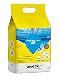 Weber Mortier joint de carrelage haute résistance Gris