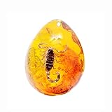 Fossile d'ambre avec insectes échantillons de pierres