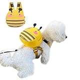 Ruiqas Sac à dos de transport pour chien avec laisse