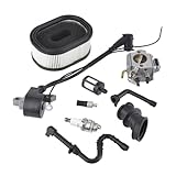 Cancanle Carburateur avec Bobine d'allumage Tune Up