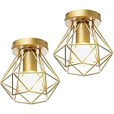 iDEGU Lot de 2 Plafonnier Industriel Vintage Lustre