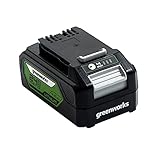 Greenworks Batterie 24V - Puissante Batterie Rechargeable