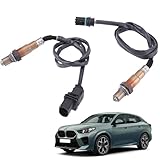 LICHENGTAI 0258010412 Lot de 2 sondes lambda avec fiche