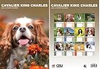 Calendrier 2026 Cavalier King Charles - Format A3 -