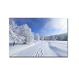 Mur Arts Still Life Tableau moderne abstrait Imprimé