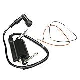 Baceyong Bobine d'allumage pour Kawasaki 1 Ba-you 300