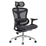 SIHOO Doro C300 - Chaise de bureau ergonomique avec