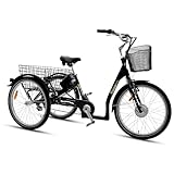 SachsenRAD Vélo de charge électrique T3A Trio avec