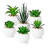 PASCH® Lot de 6 plantes succulentes artificielles en