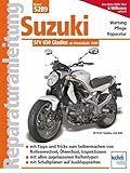 Suzuki Gladius 650 ccm V2 neues Modell