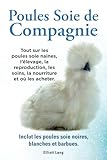 Poules soie de compagnie. Tout sur les Poules soie