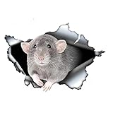 13 cm x 8,9 cm Autocollant de voiture Rat Dumbo Gris