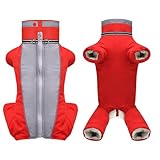 Manteau imperméable pour chien - Doublure en polaire