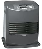 AGROFER Poêle à combustible électrique Inverter + pompe