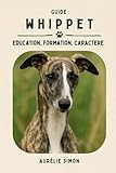 Whippet: Education, Formation, Caractère du Lévrier